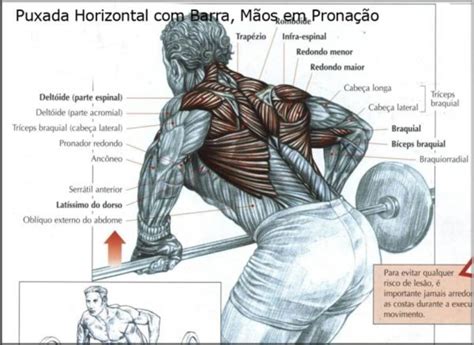 Treino De Costas Para Ficar Larga Em V Exerc Cios E Explica Es