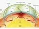 Mantle Plumes And Convection Visualizations