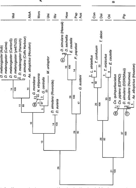 Figure 1 From Phylogeny And PCRbased Classification Of Wolbachia