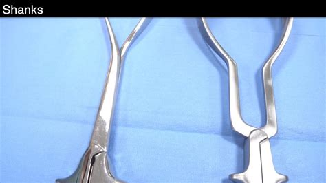 Anatomy Of The Forceps, 60% OFF | www.afaqcm.com