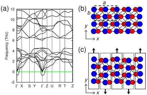 Color Online Phonon Band Structure And The Eigenvector Of The