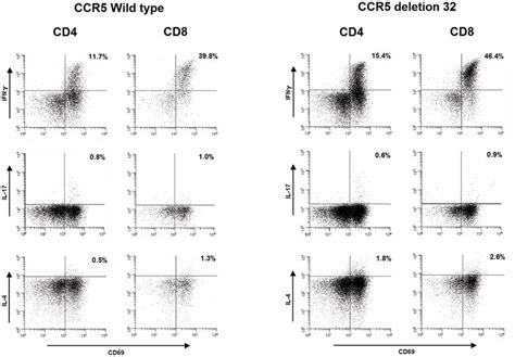 Flow Cytometric Characterization Of Cd4 And Cd8 T Cell Subsets From