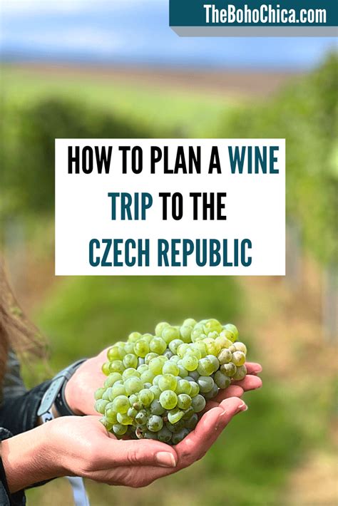 A Wine Tour of South Moravia in the Czech Republic