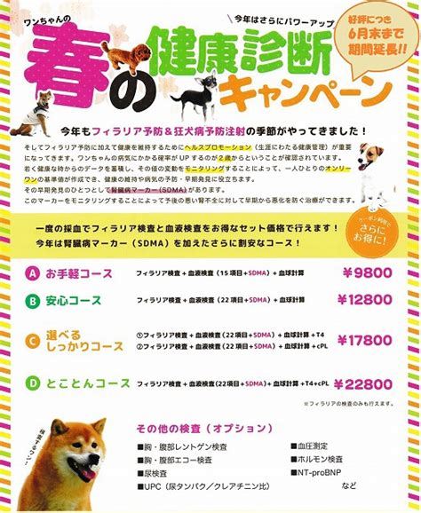 犬の「フィラリア検査＆春の健康診断キャンペーン！！」 お知らせ ココニイル動物病院｜中野・高円寺・杉並・犬・猫・フェレット・うさぎ・鳥