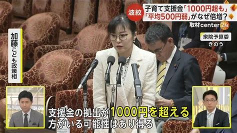 子育て支援金「1000円超も」こども政策担当相が発言 「平均500円弱」からの“倍増”に波紋 高所得者は高額に｜fnnプライムオンライン