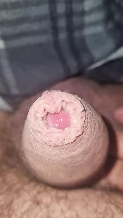 Tiny Dick Sissy British Shemale Small Cock Amateur Porn Xhamster