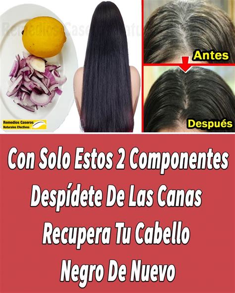 Pin En Como Eliminar Las Canas