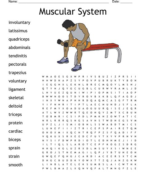 Muscular System Word Search Printable