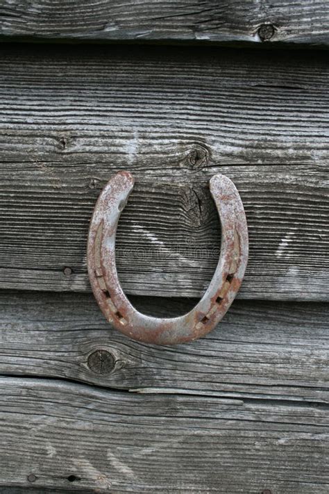 Fitting the Horseshoe stock photo. Image of foot, farrier - 20647760