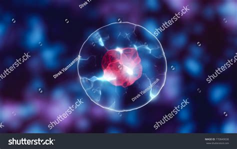 Ilustrasi Stok Cell Nucleus Mitosis Multiplication Cells Beauty