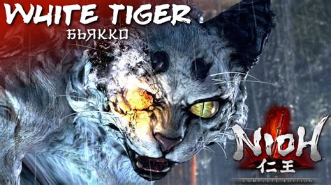 Nioh Remastered The Complete Edition How To Beat A White Tiger Boss