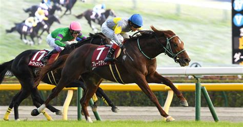 【3歳以上次走報】有馬記念16着のブレークアップは日経賞へ サンスポzbat