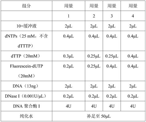 一种原位杂交探针及其制备方法与应用与流程