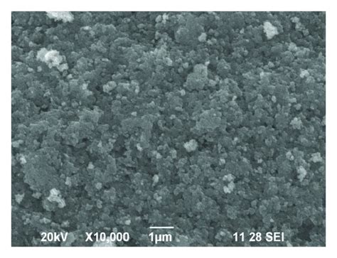 (a) SEM micrograph of ZnO nanoparticles (×10000), (b) SEM micrograph of ... 