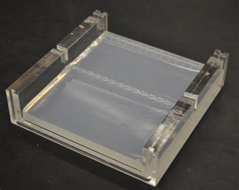 Gel Electrophoresis Types Principles Instrumentation And Applications Microbiology Notes