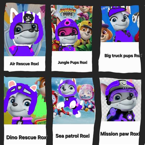 Paw Patrol Roxi In Types Of Subseries Outfits By Jennifermcafee On