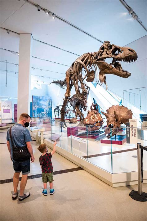 Doors Open Ontario Royal Ontario Museum