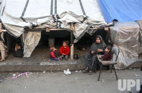 Photo Displaced Palestinian Families In Makeshift Shelters In Rafah