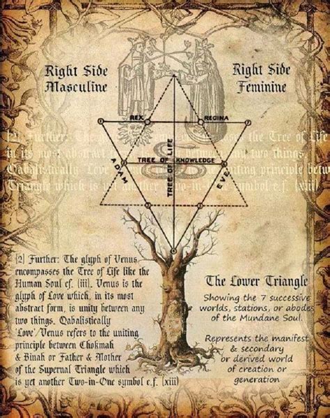 052214 Solomons Seal Solomons Seal Wicca Witchcraft Magick Spells