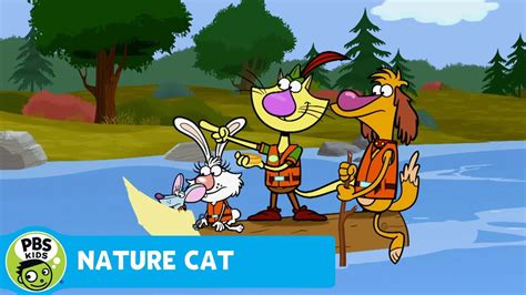 Going Outside Nature Cat Wikia Fandom