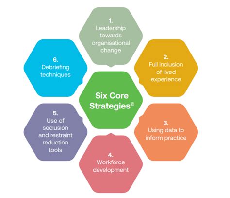 Six Core Strategies For Reducing Seclusion And Restraint Te Pou