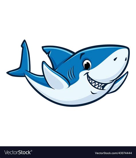 Cartoon friendly shark vector image on VectorStock | Shark illustration ...