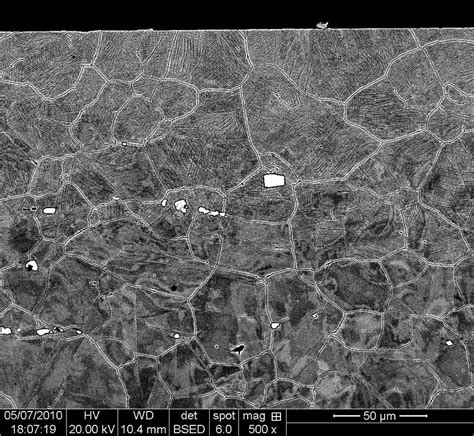 Micrographie Lectronique Balayage D Un Chantillon En Alliage