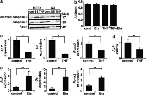 TNFα inhibits osteoblastic differentiation of AX cells a Whole cell