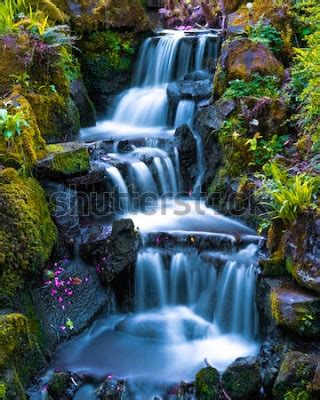 Poster Japanische Natur mit Wasserkaskaden nach Maß myredro de