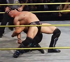 Hot Pro Wrestlers Page LPSG