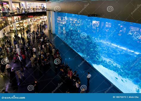 Dubai Aquarium in the Dubai Mall Editorial Stock Photo - Image of ...