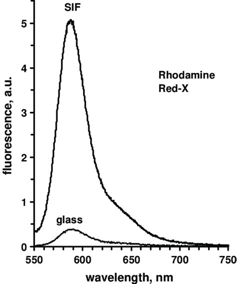 Example Of The Fluorescence Spectra Of The Rhodamin Red X Labeled