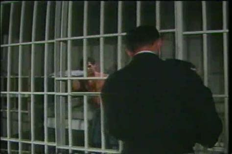 Gay Vintage The Best Of Jeff Stryker Scene