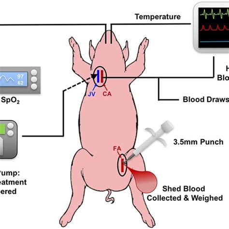 Schematic Representation Of Synthoplate Design And Mechanism Showing