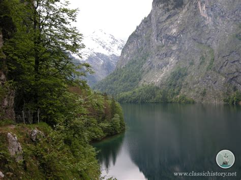 history  european forests classic history