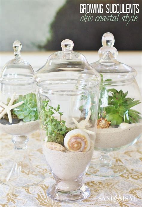 17 Creative DIY Terrarium Ideas - Style Motivation