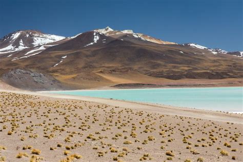 Atacama Desert: Lagoons & Salt Flats | kimkim