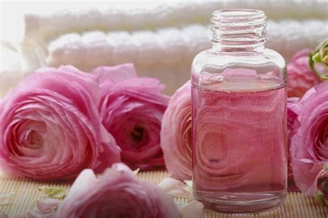 Effect Of Damask Rose Essential Oil On Aromatherapy And Wellness Arad