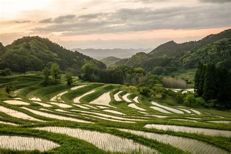 Les plus belles rizières en terrasse du Japon - Vacances au Japon