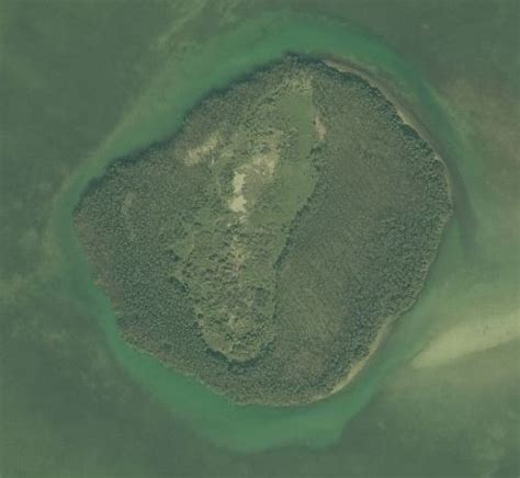 Dildo Key Alchetron The Free Social Encyclopedia