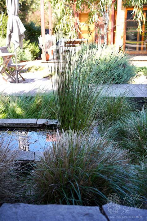 Dulwich Hill: Rear Garden – Kath Gadd Landscape Design