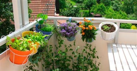 Erbe Aromatiche In Balcone Come Organizzare Un Angolo Utile E Profumato