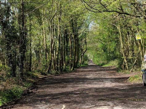 Old Shaftesbury Drove Road Cycle Routes And Map Komoot