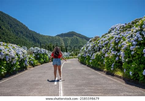 167 Azorean Road Images, Stock Photos & Vectors | Shutterstock