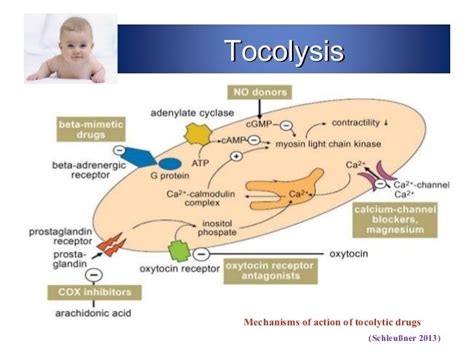 Recent Advances In Management Of Preterm Labour