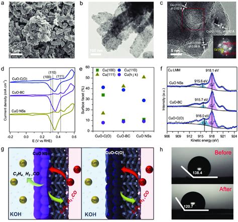 Structural Characterization Of The CuO C O GDE After CO 2 RR A SEM