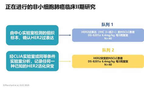 肺癌egfr 20插入突变及her2突变靶向治疗真实世界研究分享egfr肺癌靶向药物插入突变 健康界