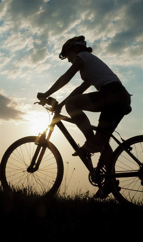 cycle health fitness nutrition saigon body expert systems