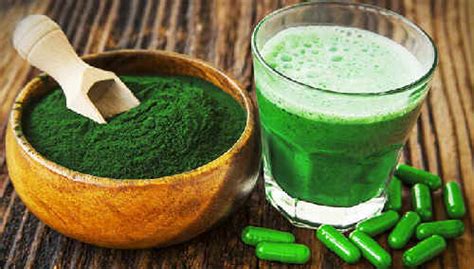 Спирулина: полезные свойства и противопоказания, цена, отзывы