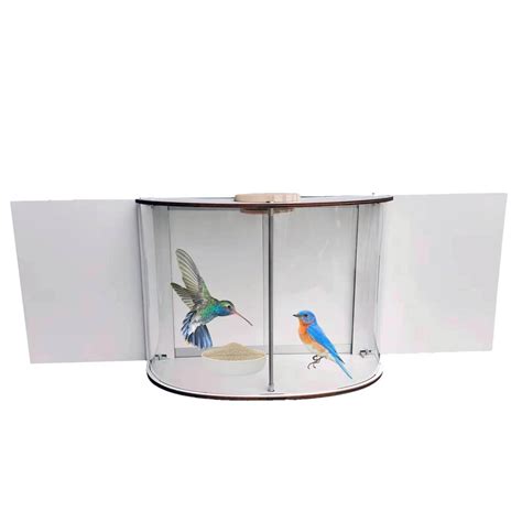 Window Bird Feeder 6.69" & Acrylic Window Bird Feeder Window Display ...